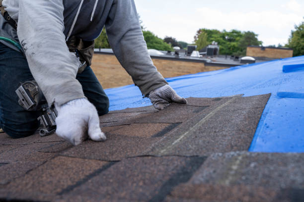 Best Roof Maintenance Services  in Spearville, KS